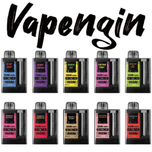 Vapengin 5500 Puffs Disposable Vape